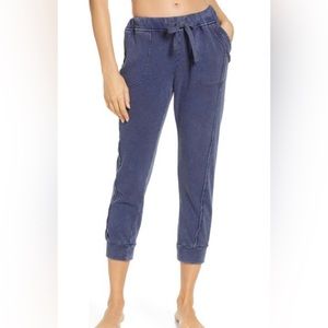 Free Peopple Movement Work It Out Joggers NWT